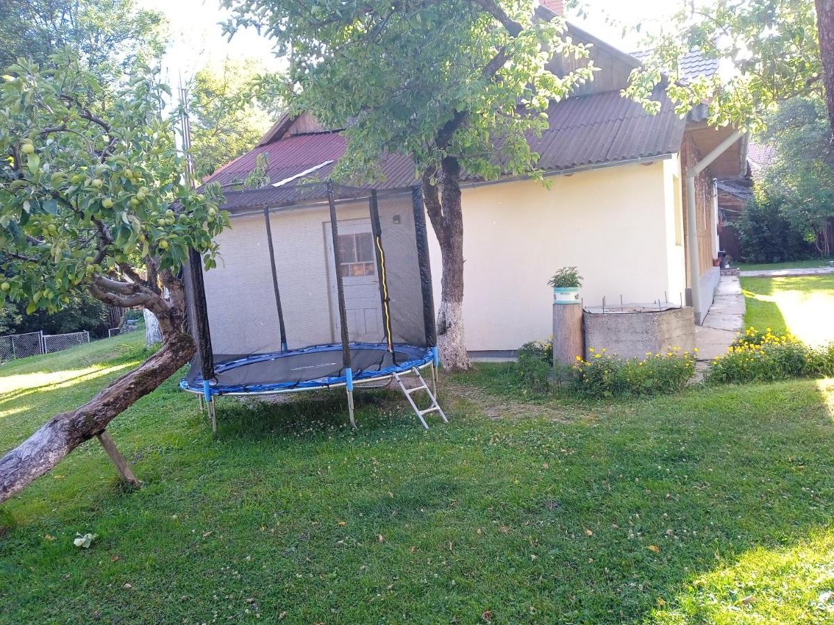 У Дядька Guest House Pilipets Bagian luar foto