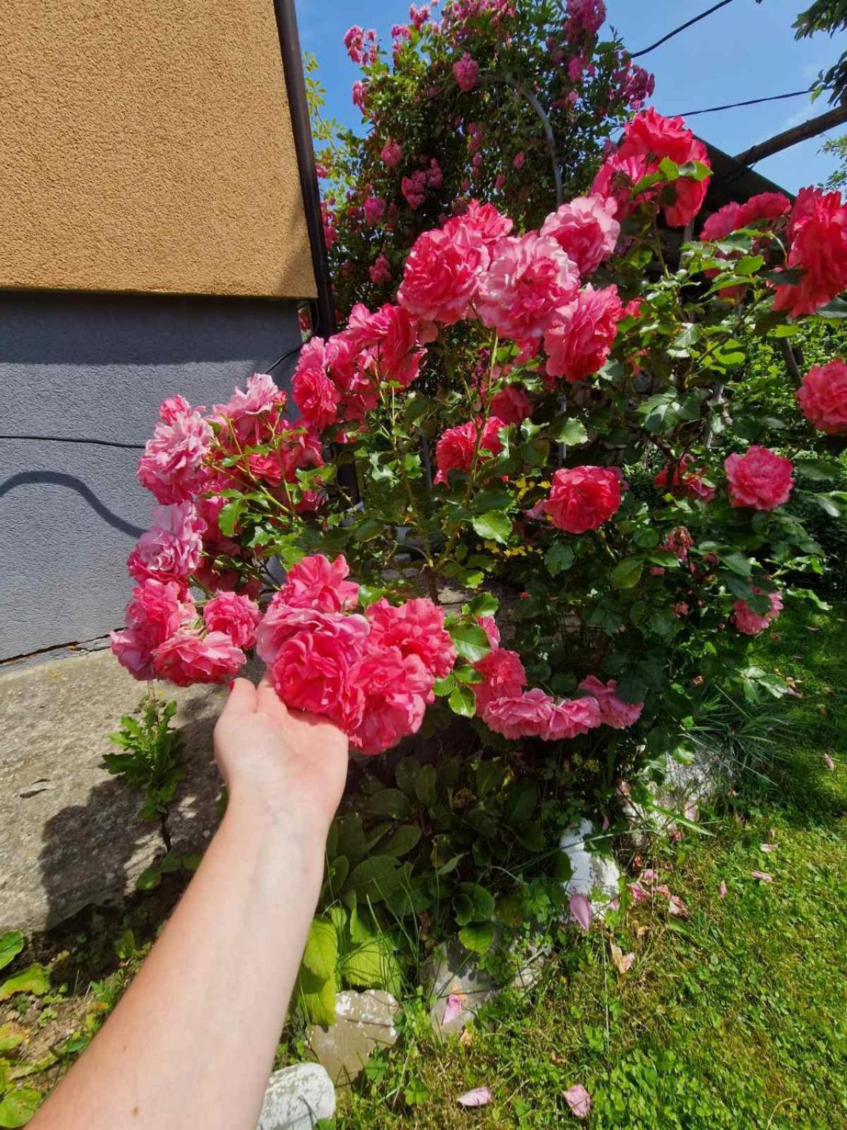 У Дядька Guest House Pilipets Bagian luar foto